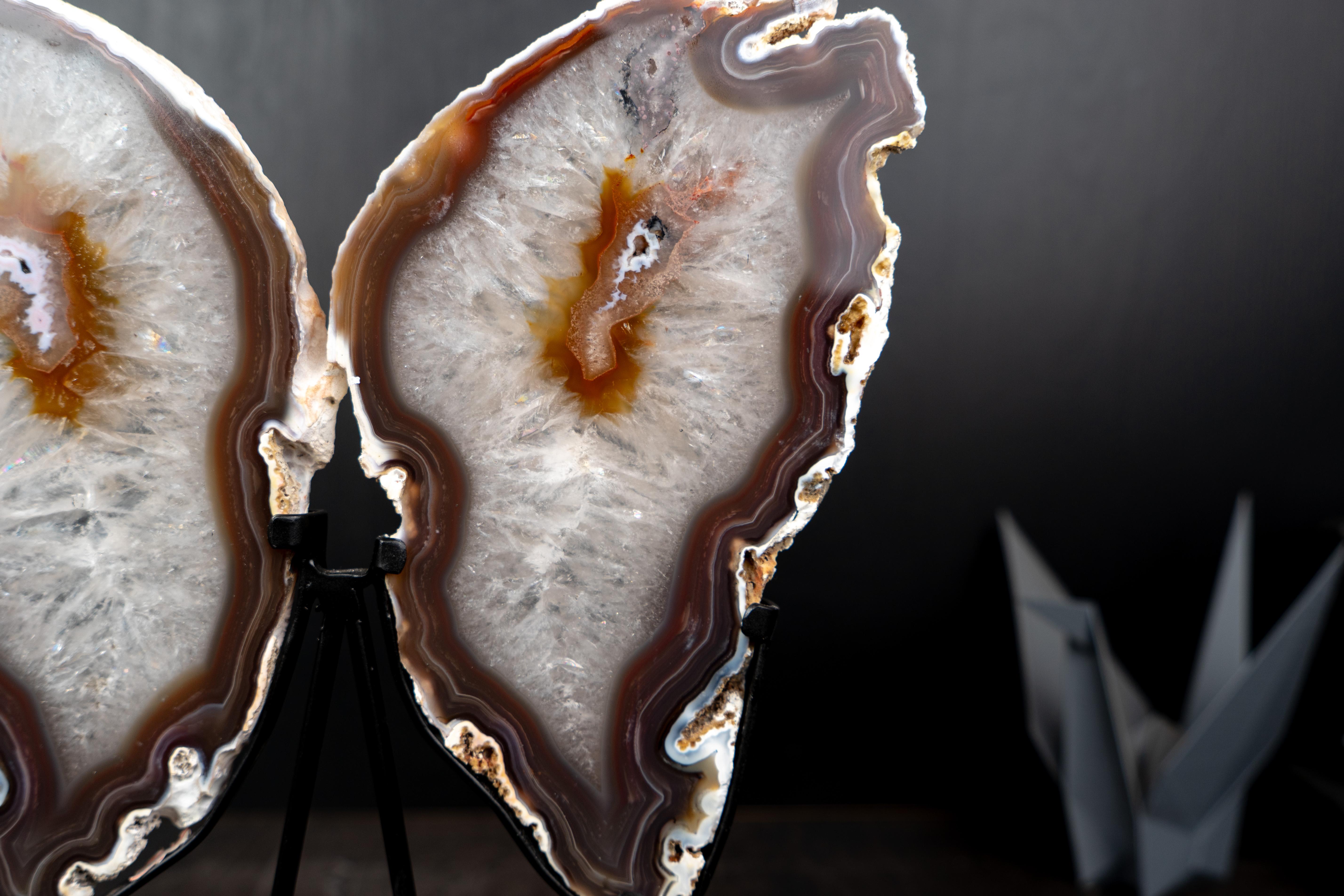 Brazilian Natural Agate Butterfly Wings Sculpture For Sale