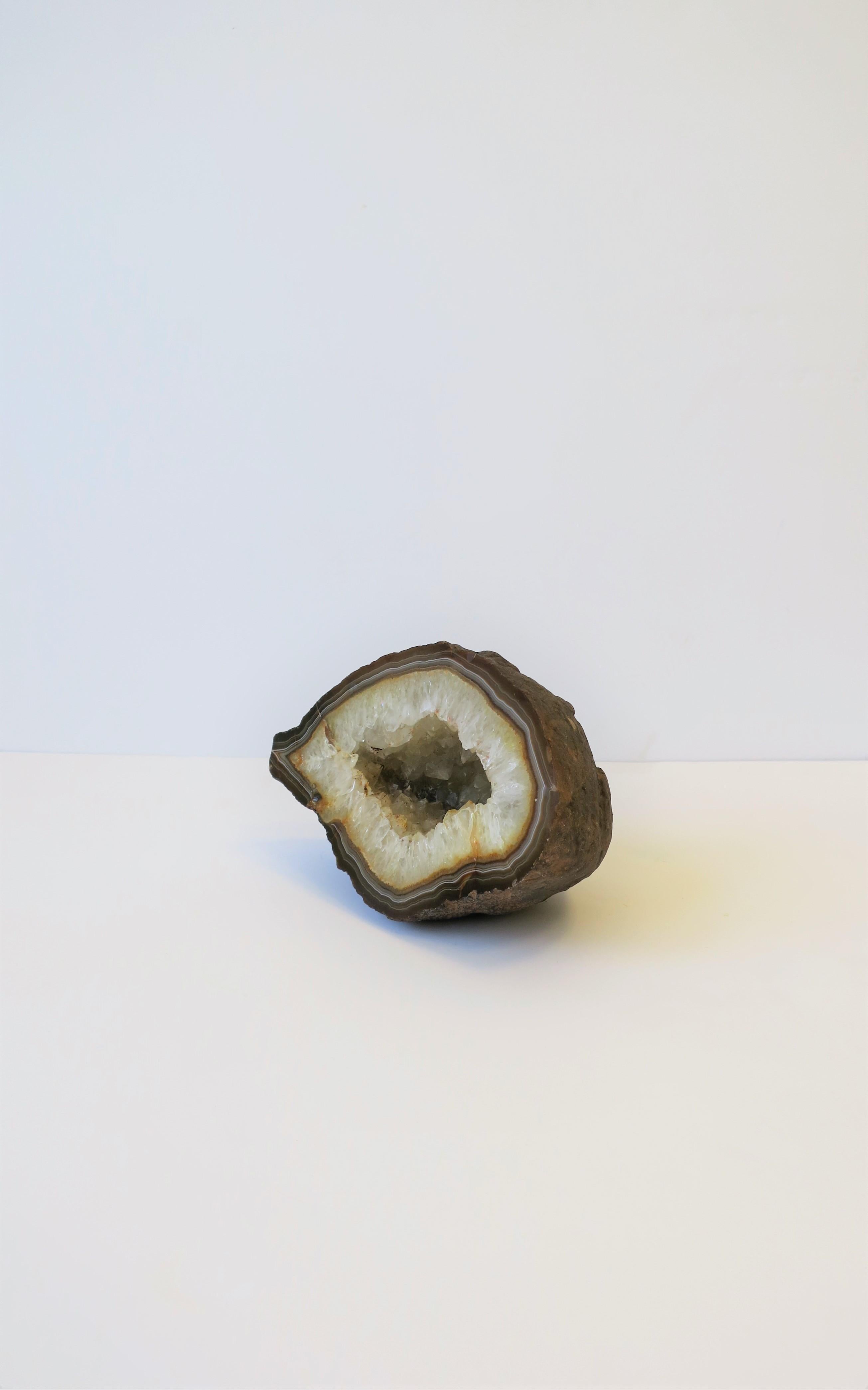 Polished Agate Geode Brown and White Natural Specimen Decorative Object For Sale