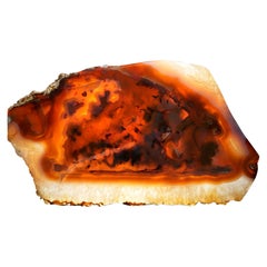 Natural Agate Slice – Vibrant Banded Chalcedony Display Specimen