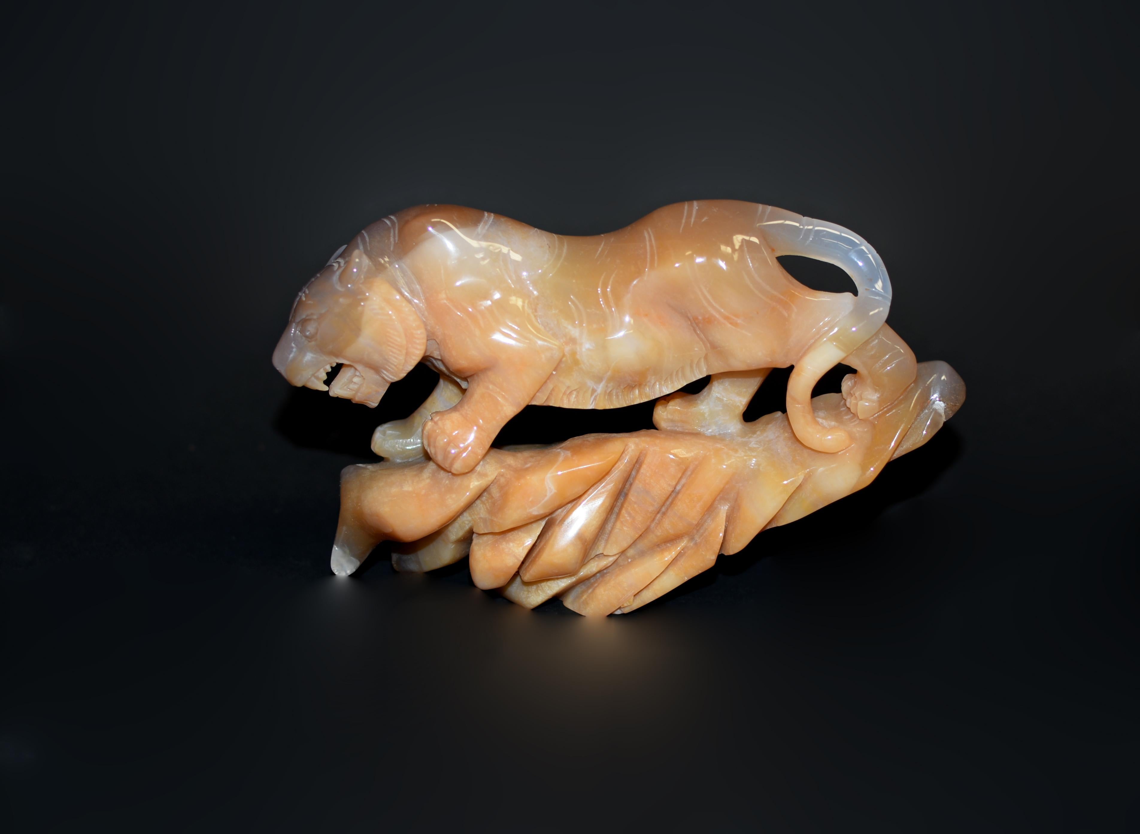 A beautiful hand-carved 2.5 lb honey agate tiger statue. Poised on a rock with all four paws firmly planted, the tiger exhibits a commanding presence with a large head projecting a ferocious roar. The strong paws, muscular body, and long robust tail