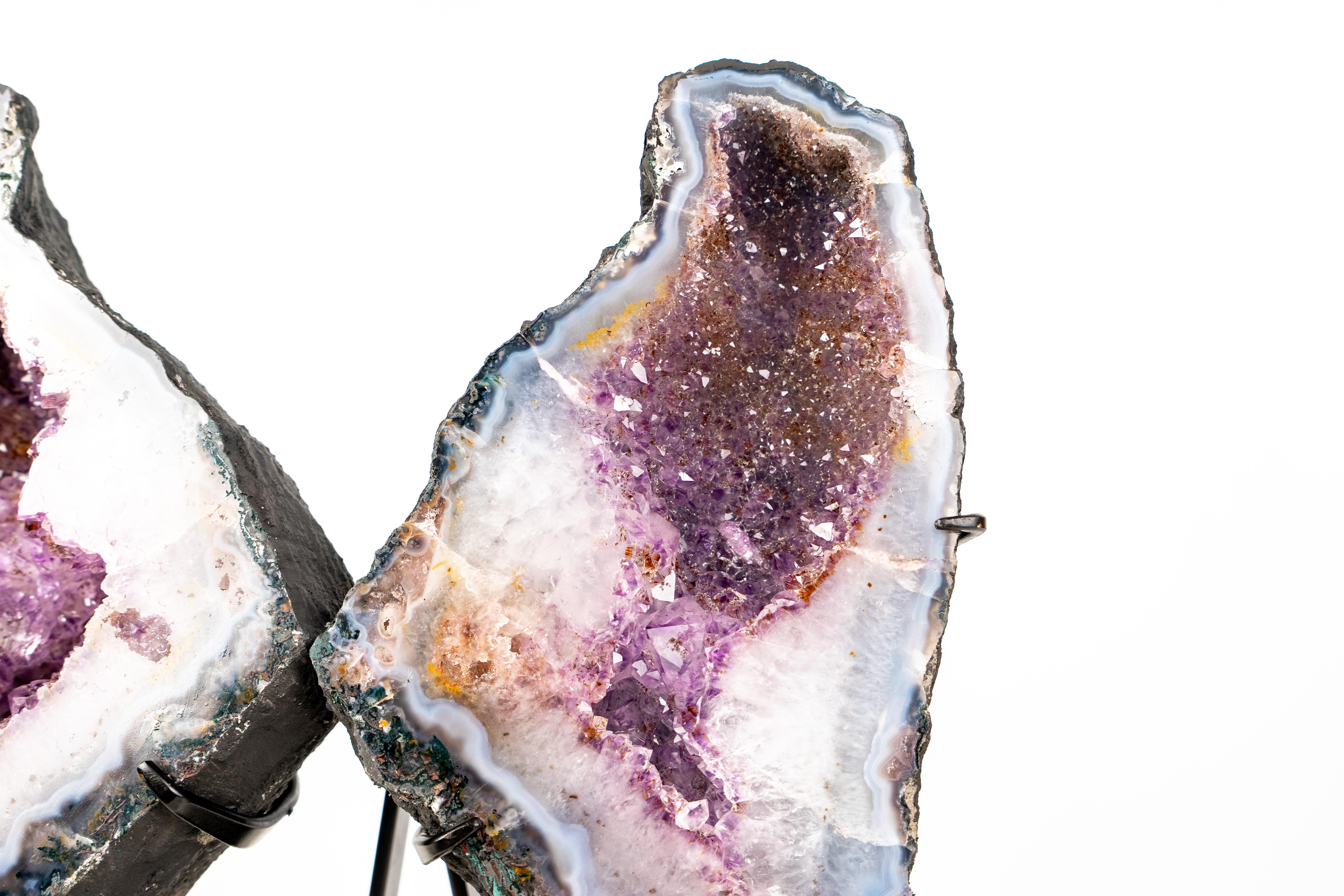Geode di agata a forma di farfalla con agata a pizzo blu e bianca

▫️ Descrizione

Con una forma naturale che ricorda davvero una farfalla, questo geode di agata mostra delicati motivi di agata a merletto che circondano scintillanti cristalli druzy: