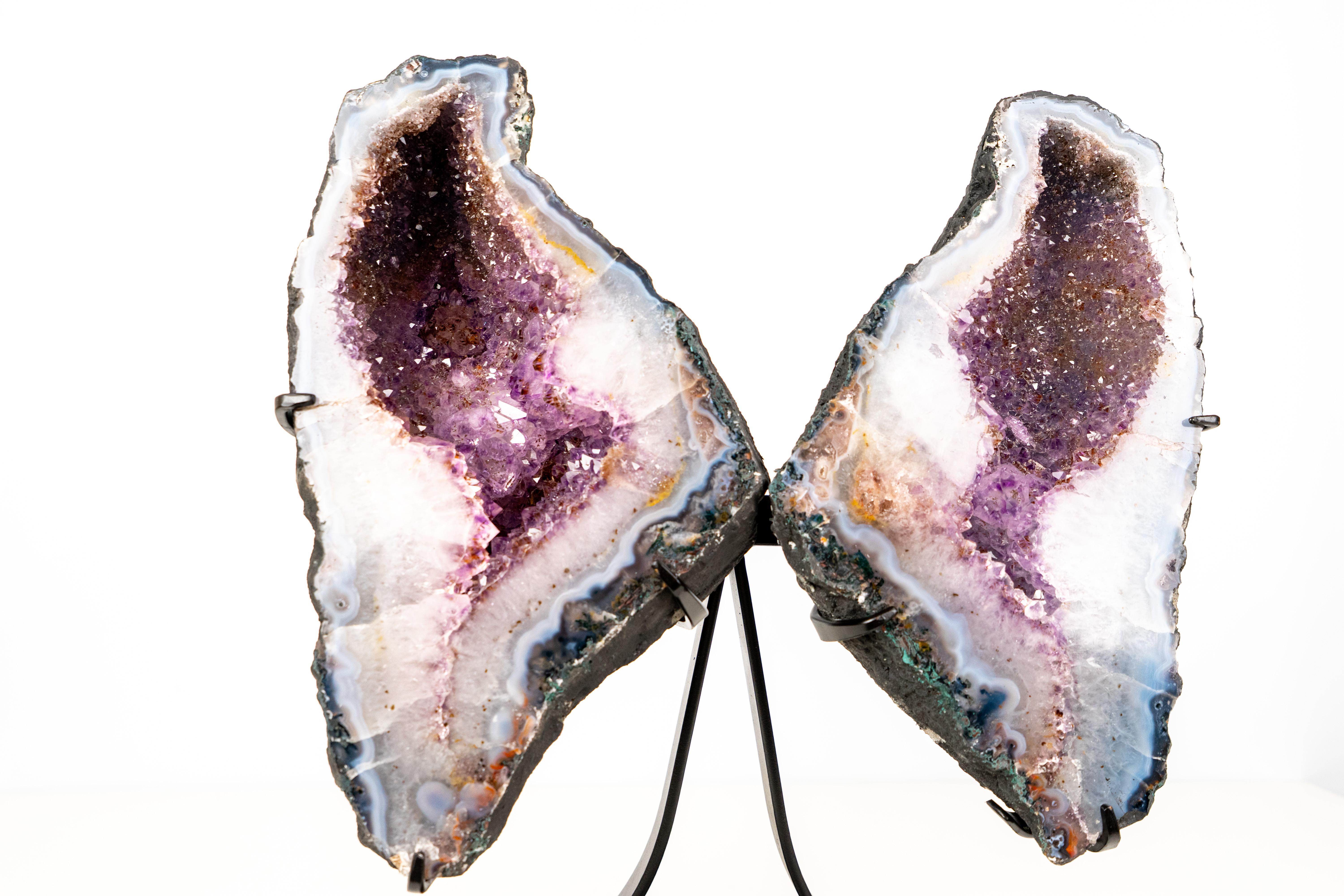 Brasiliano Agata naturale con ali di geode farfalla in ametista in vendita