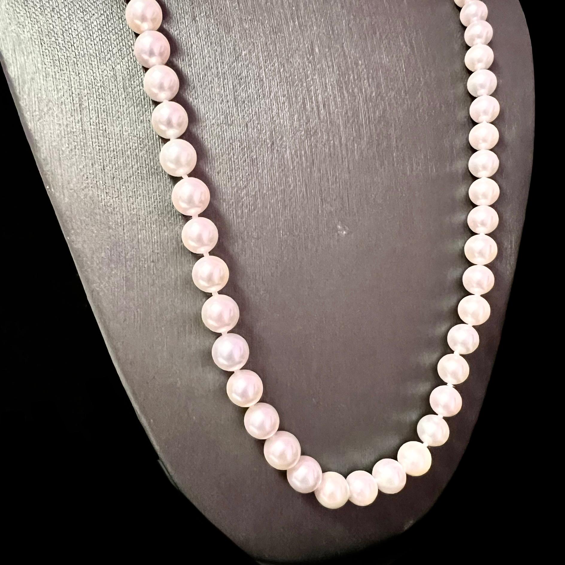 kissaka pearls
