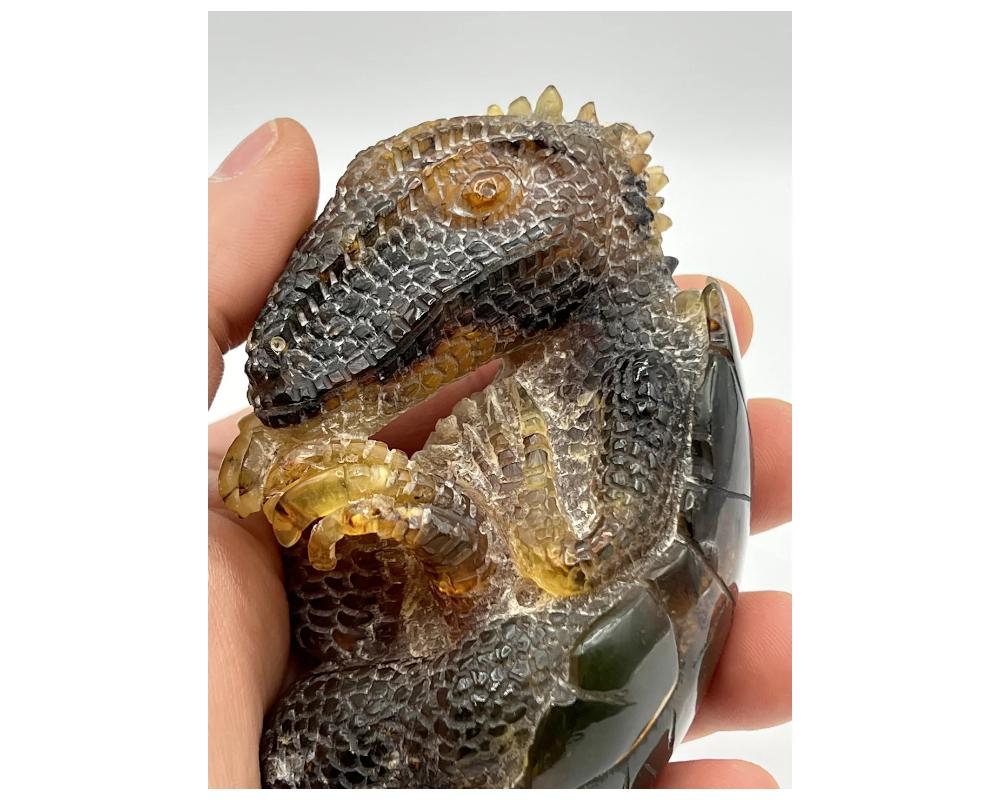 Natural Amber Hand Carved Figurine of a Dragon Dinosaur Egg 6