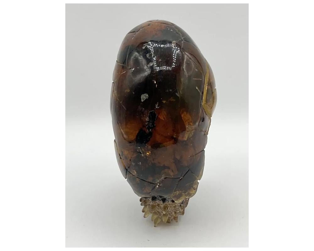 Natural Amber Hand Carved Figurine of a Dragon Dinosaur Egg 1