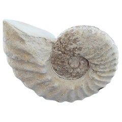 Natural Specimens