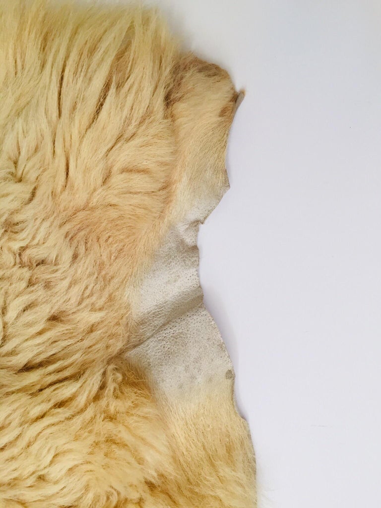 Natural Angora Plush Sheepskin Accent Rug at 1stDibs