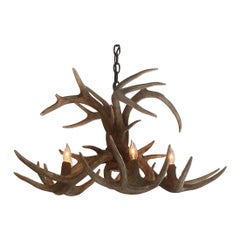 Natural Antler Chandelier
