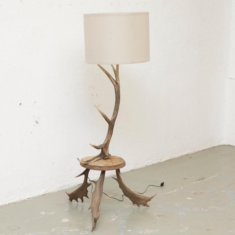 Natural antler deer horn floor lamp.

Measures: H 132 x W 70 x D 70.

In good original condition, with minor wear consistent with age and use, preserving a beautiful patina.

