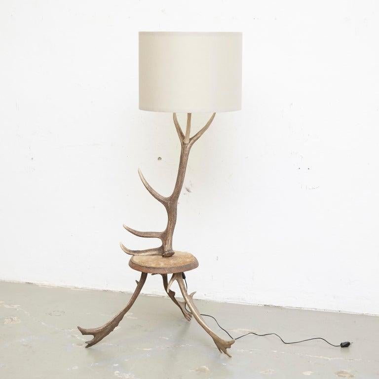 deer horn lamp