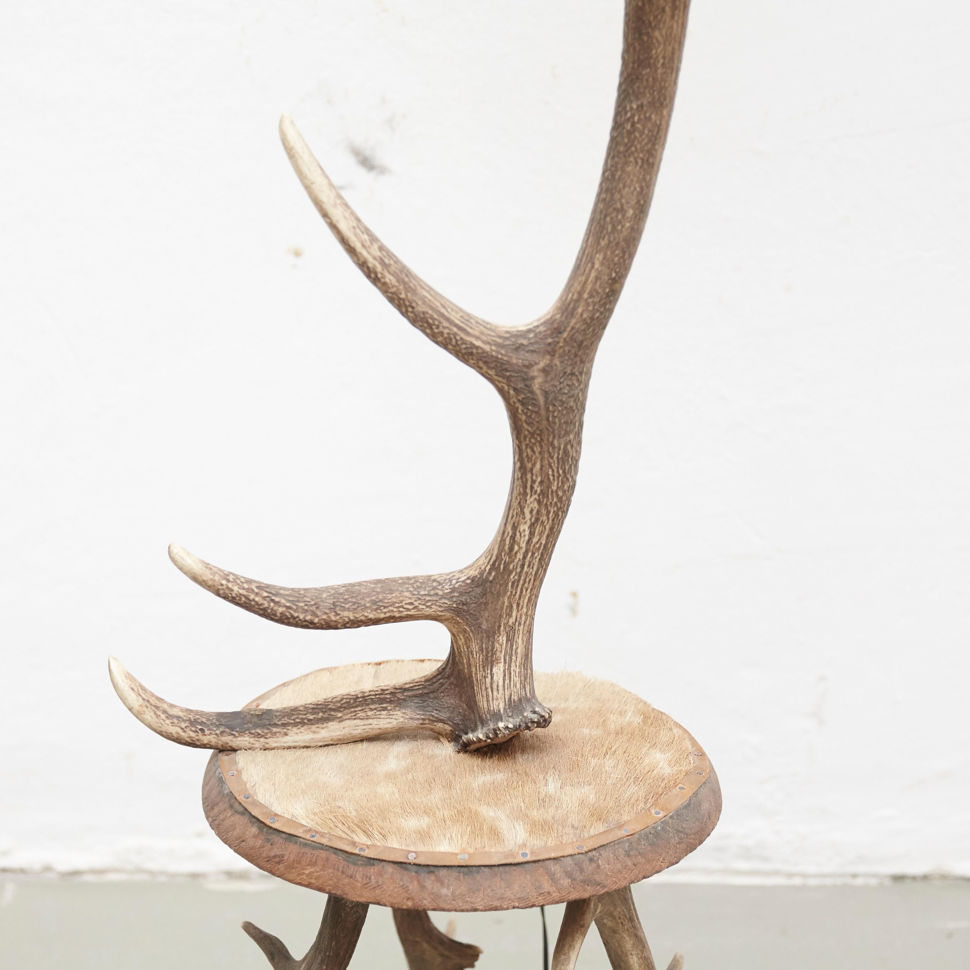 Neoclassical Natural Antler Deer Horn Floor Lamp