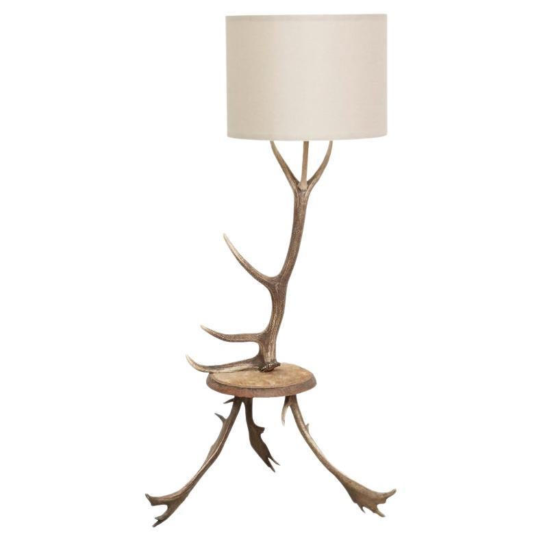 Natural Antler Deer Horn Floor Lamp For, Horn Floor Lamp