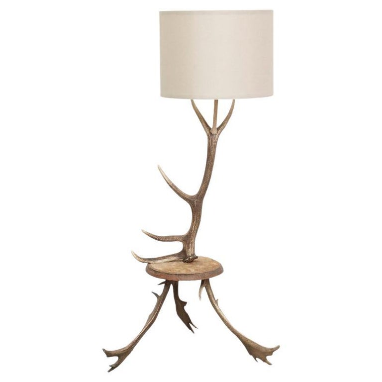 Natural Antler Deer Horn Floor Lamp For Sale at 1stDibs