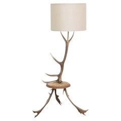Natural Antler Deer Horn Floor Lamp