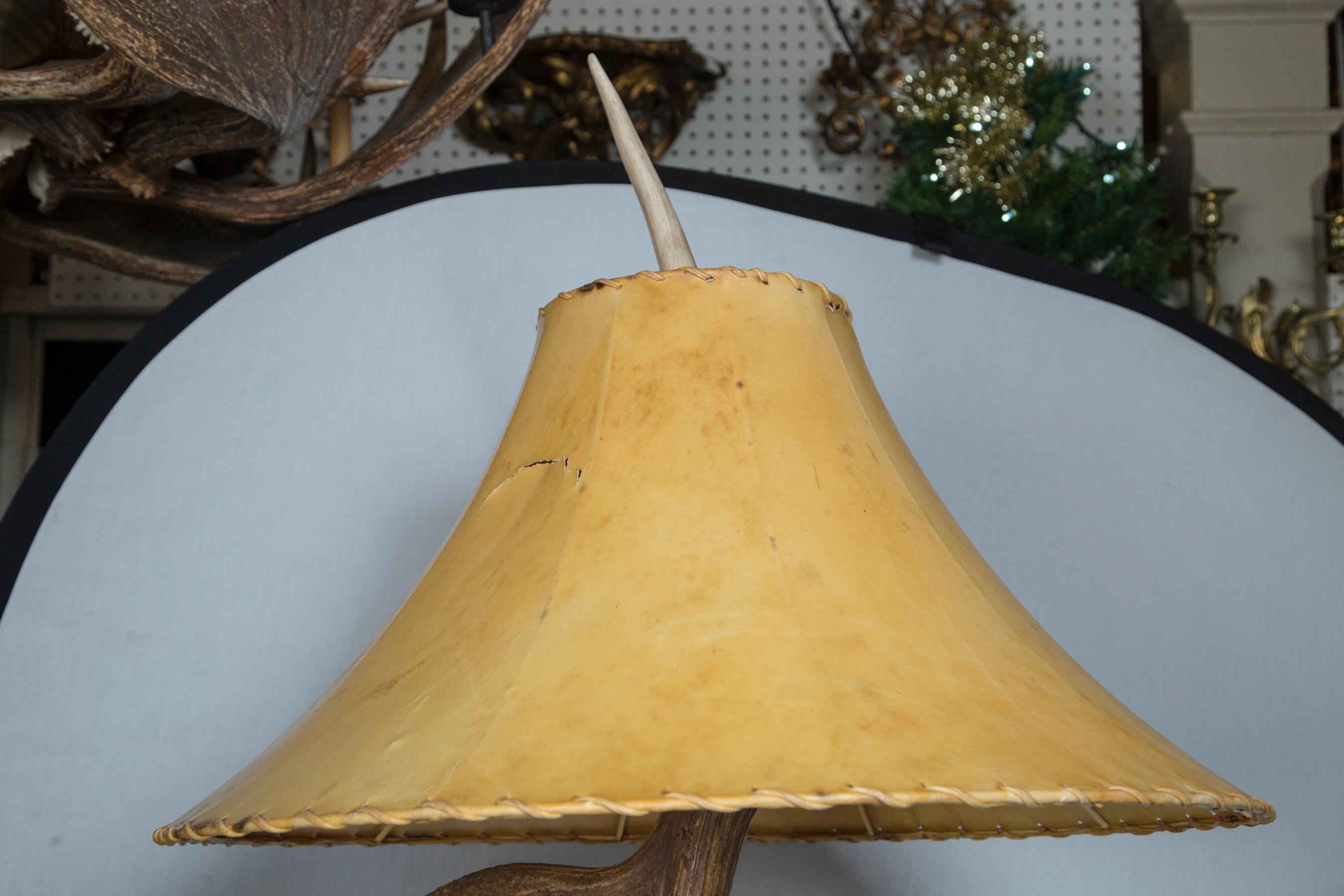 North American Natural Antler Floor Lamp For Sale