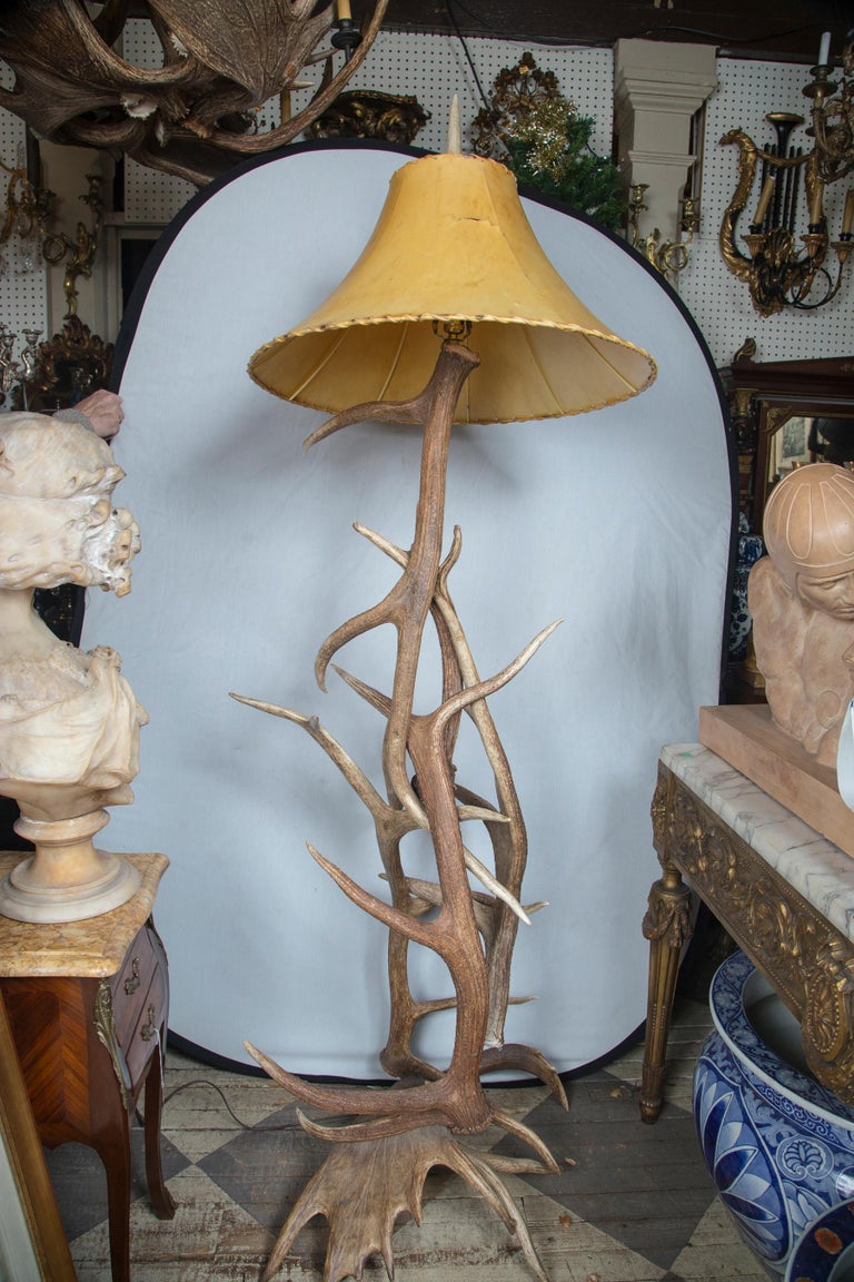 Natural Antler Floor Lamp For Sale at 1stDibs | deer antler floor lamp