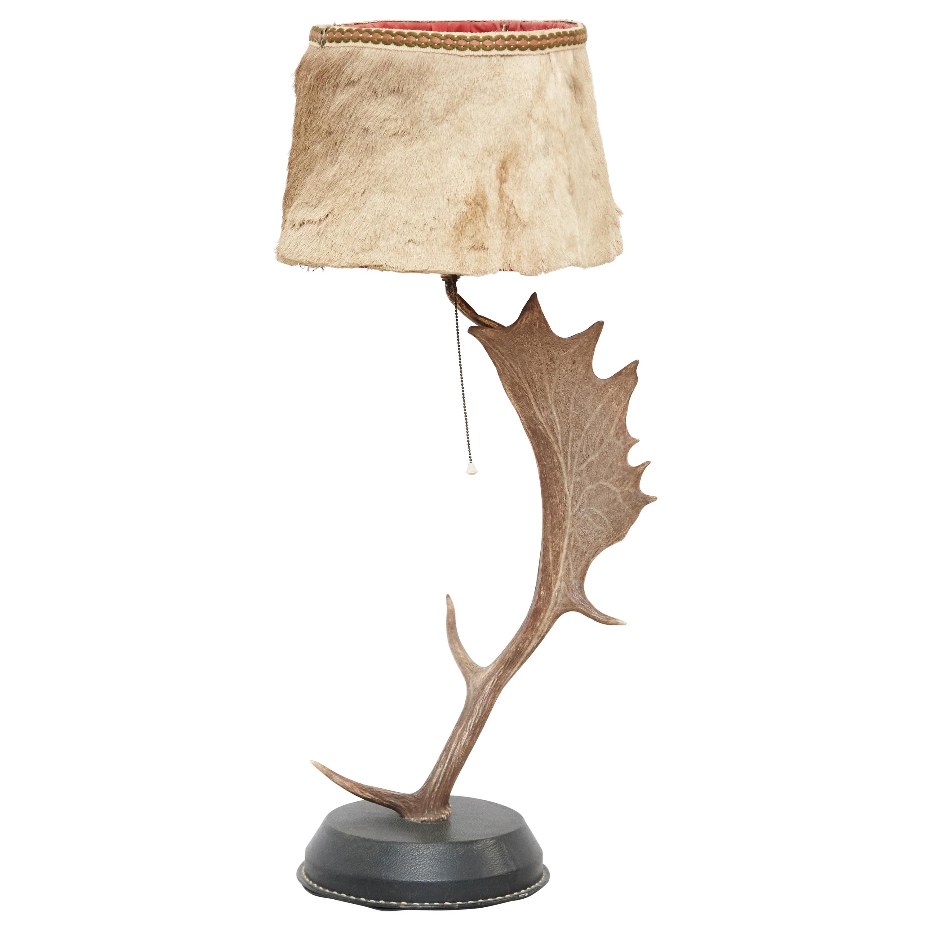 Natural Antler Table Lamp Deer Horn