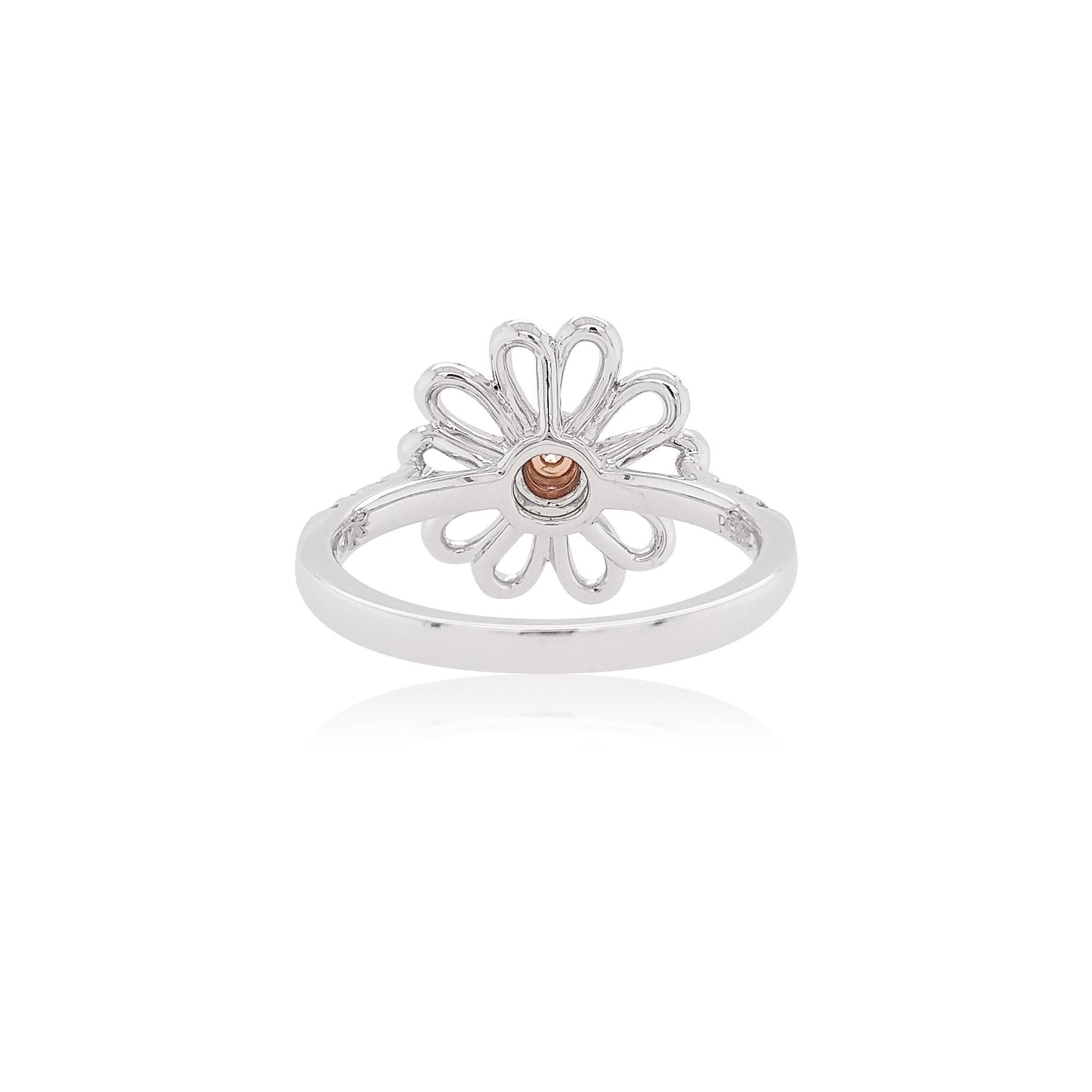 Dieser elegante Platinring besticht durch seine spektakulären rosa Argyle-Diamanten inmitten eines floralen Diamantenmotivs. Dieser spektakuläre Ring ist schillernd und verspielt und verleiht jedem Outfit einen Hauch von Eleganz.
-	Runde pinkfarbene