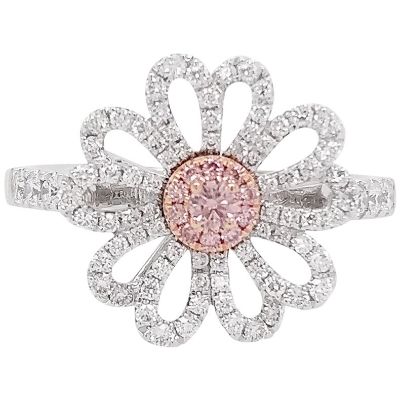 Natürlicher Argyle Pink Diamond Platin 18 Karat Roségold Verlobungsring im Angebot