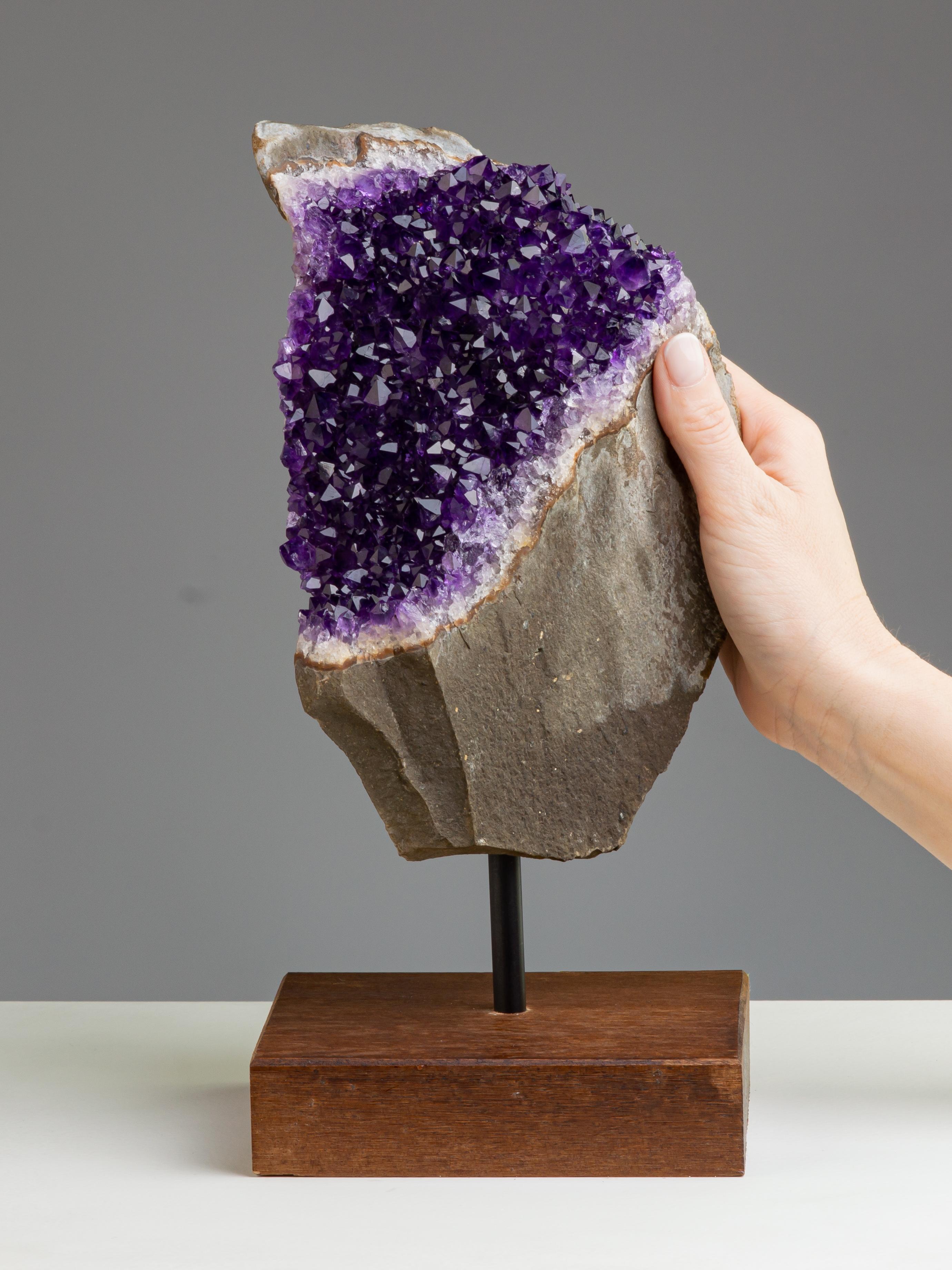 This fascinating section of basalt perfectly illustrates how the precious
amethyst appears in the tunnels of the underground mines of Artigas.
Glistening deep purple crystals jump out from the rough volcanic stone,
signaling that the area is rich