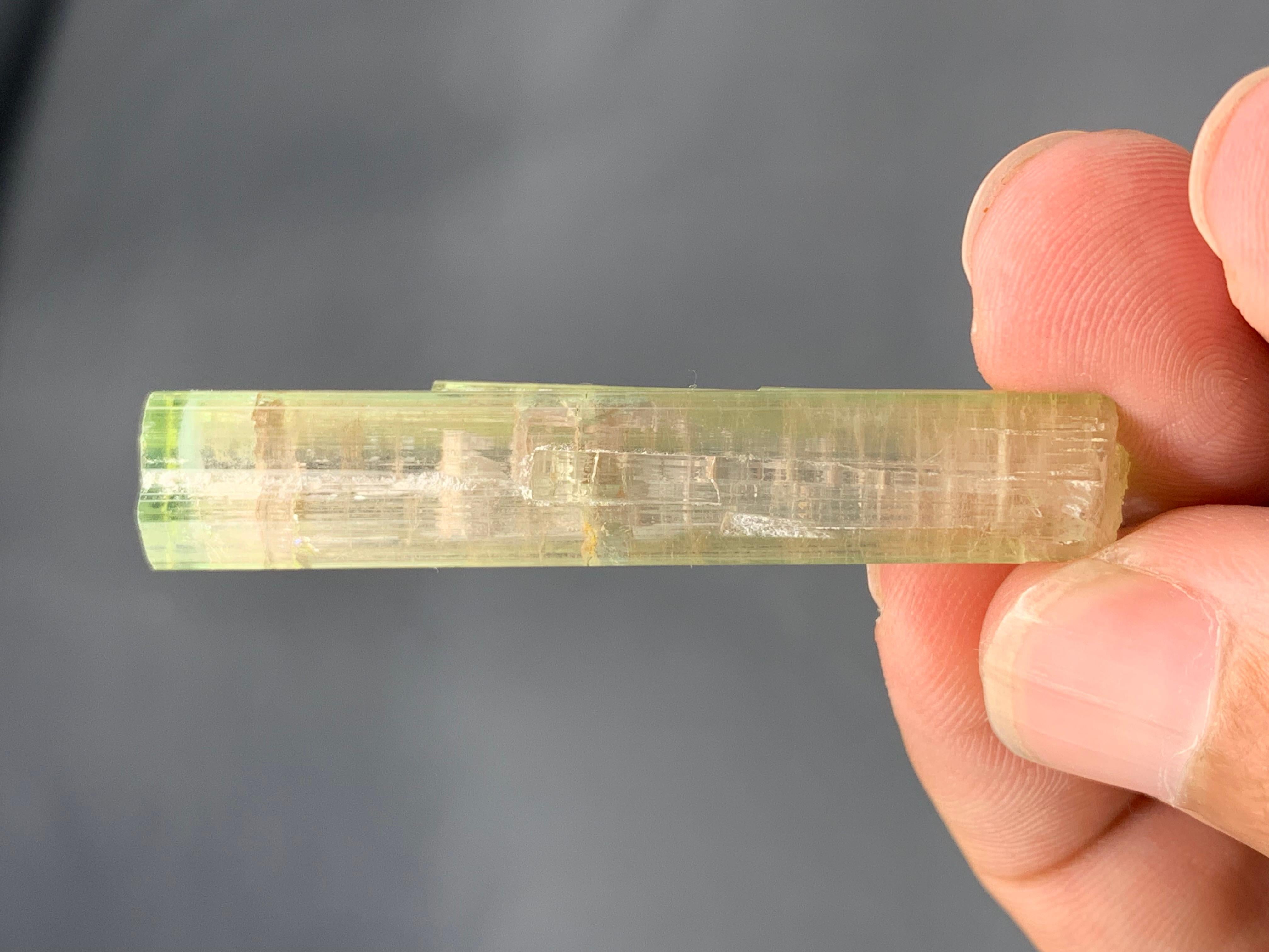 PRODUKTINFORMATION:

Probenart: Zweifarbiger Turmalin-Kristall
Gewicht: 10 Gramm 
Abmessungen: H: 5.4 x B: 1 x T: 0.8 Cm
Herkunft: Paprook-Mine, Provinz Nuristan,
Afghanistan
Behandlung: Keine

BESCHREIBUNG:

Zweifarbige Turmalinkristalle aus