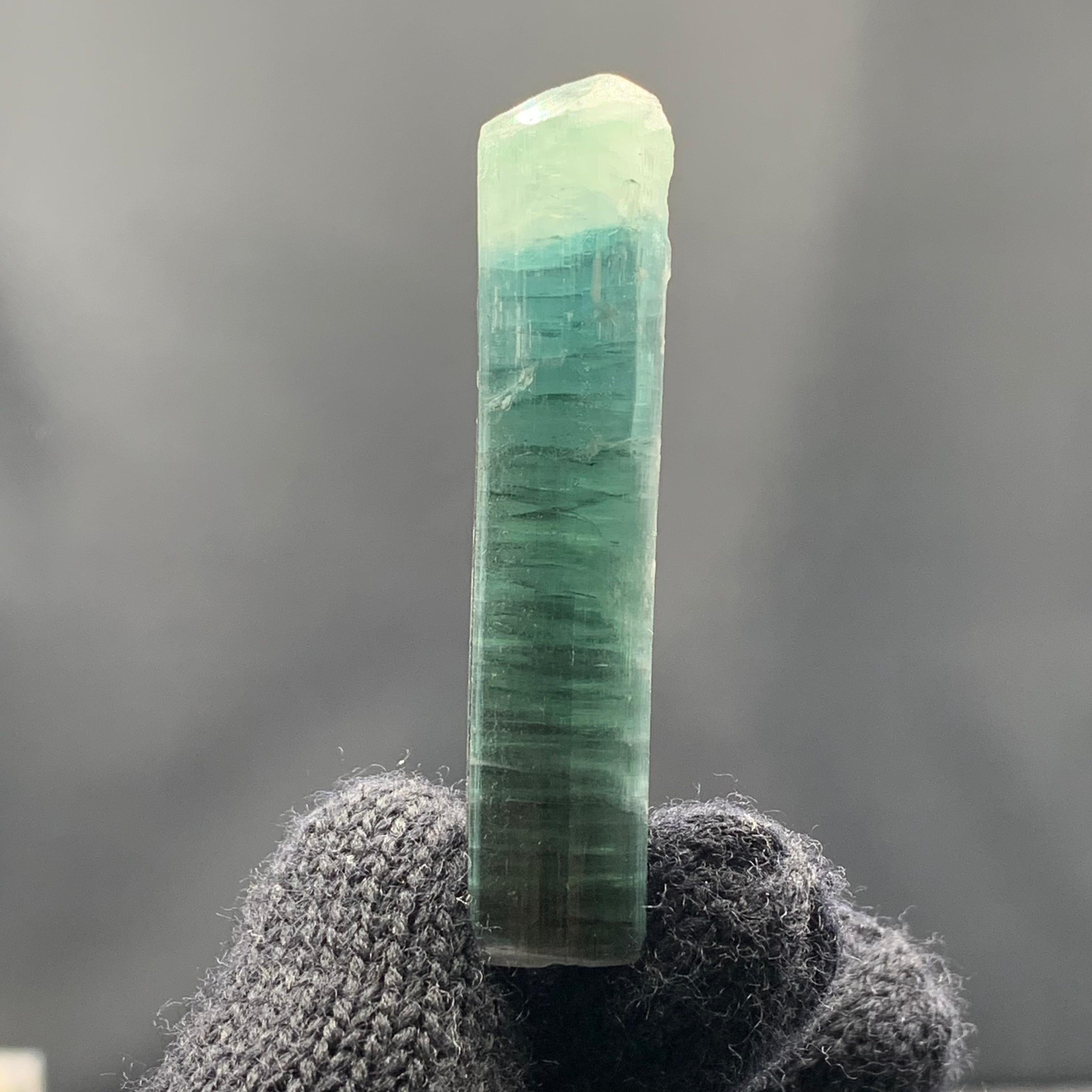 Cristallo naturale di tormalina bicolore dall'Afghanistan in vendita 3