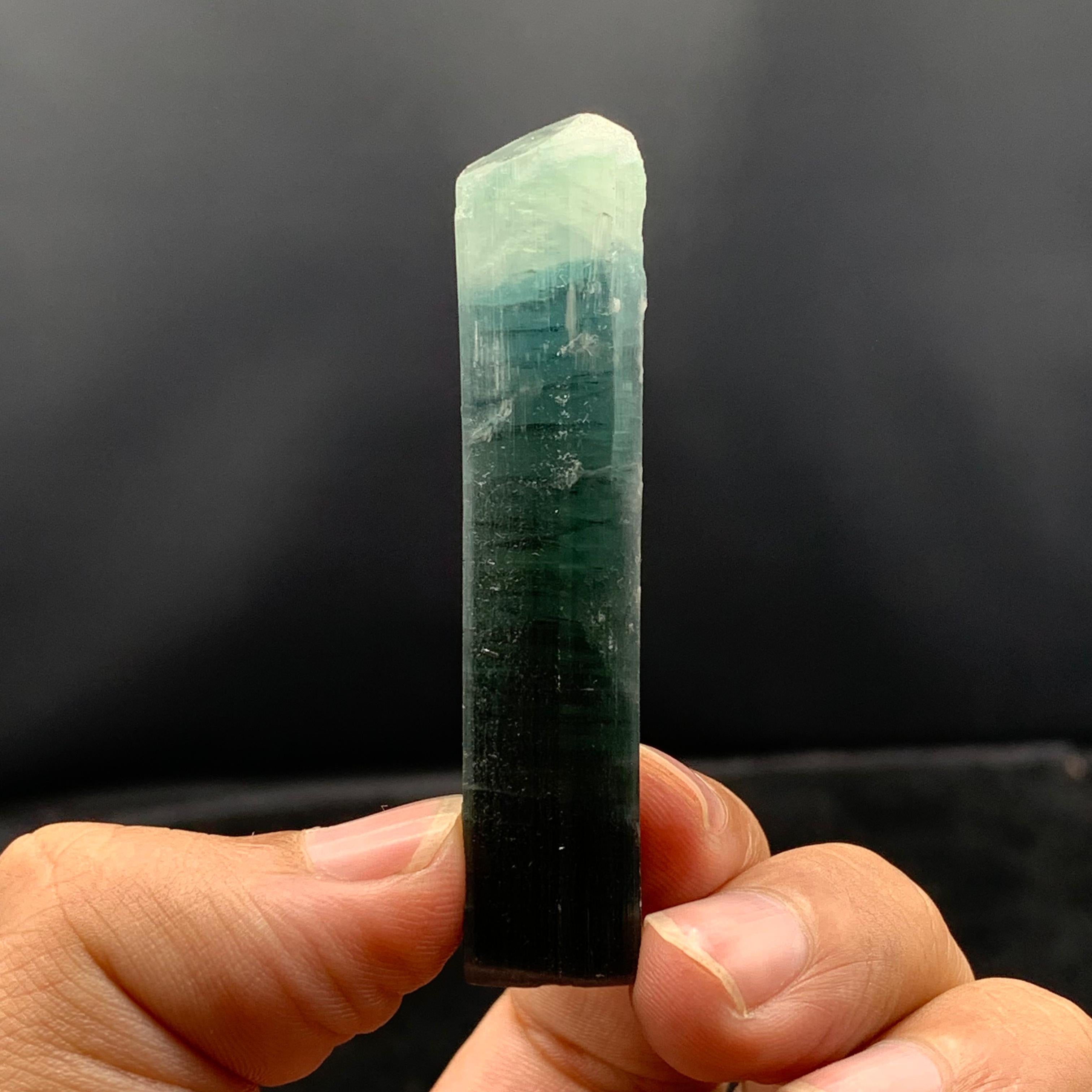 Cristallo naturale di tormalina bicolore dall'Afghanistan in vendita 4