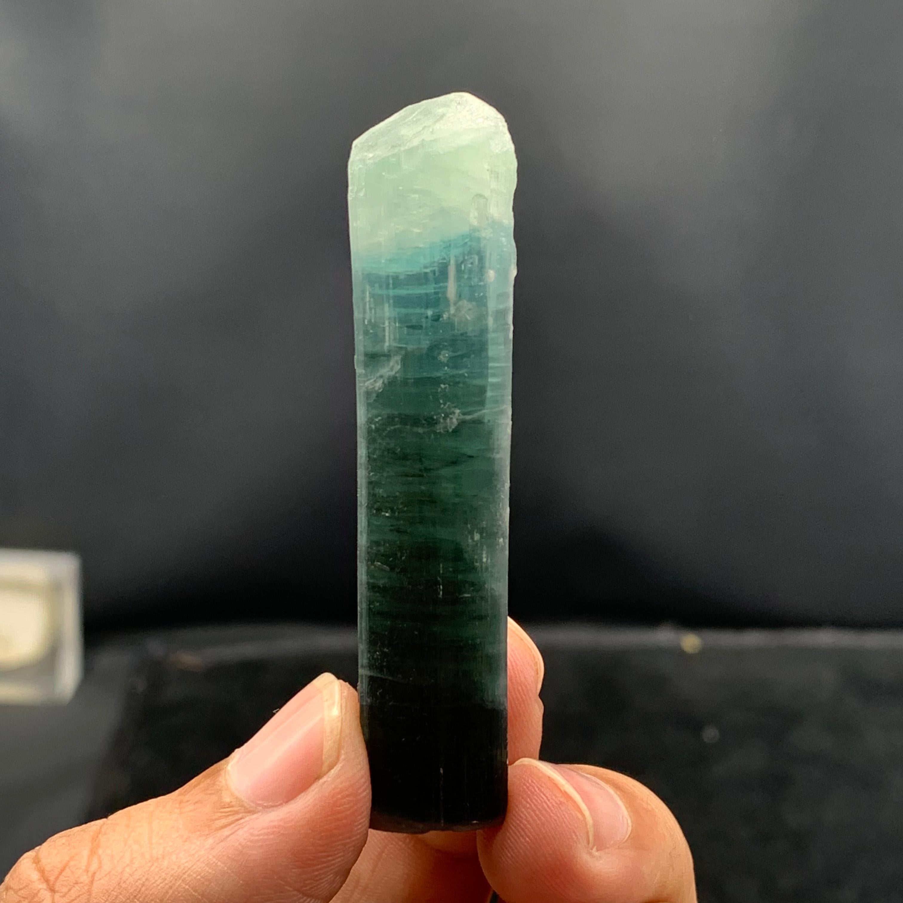 XXI secolo e contemporaneo Cristallo naturale di tormalina bicolore dall'Afghanistan in vendita