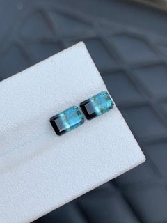 Natural Bicolor Blue Tourmaline Pair Loose Gemstones for Earrings Jewelry