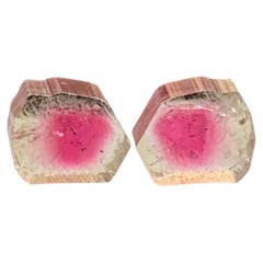 Natural Bicolor Vivid Pink and Pastel Green Tourmaline Slices Pair for Earrings