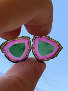 Fette di tormalina anguria bicolore naturale, pietra preziosa per orecchini e gioielli, 29 carati