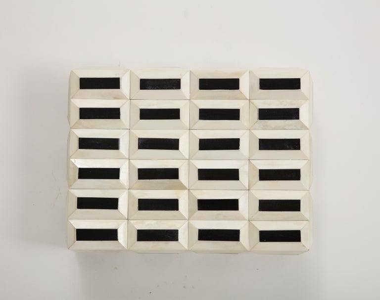 Natural, Black 3D Bone Box For Sale at 1stDibs