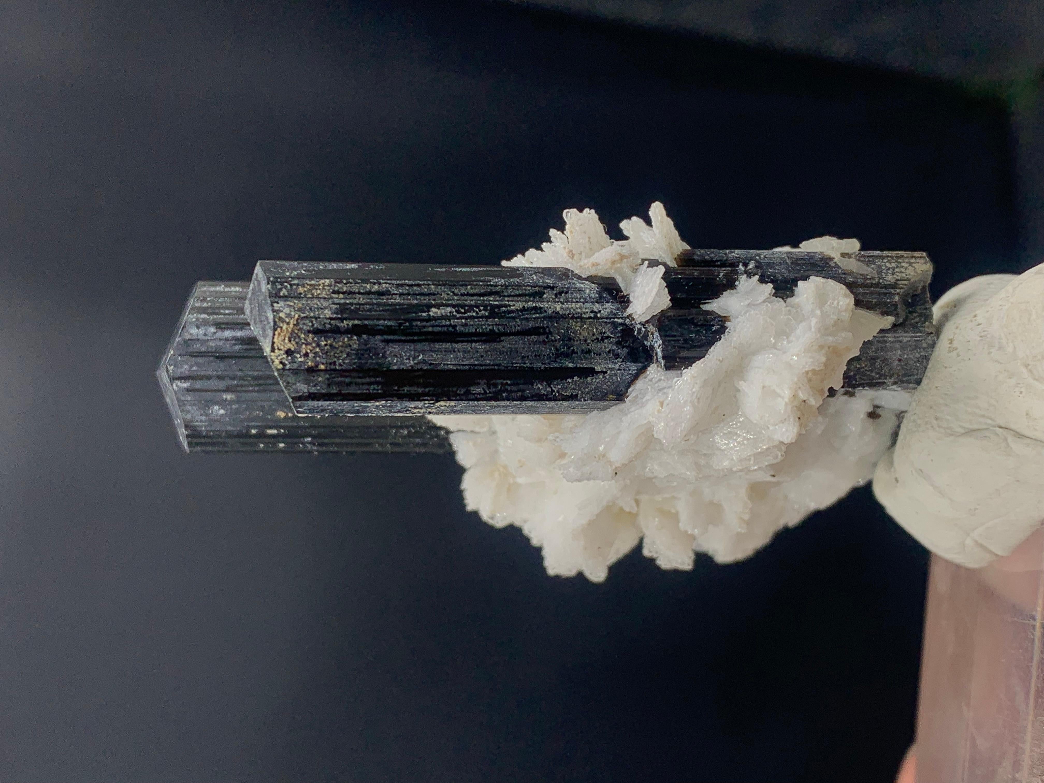 Adam Style Natural Black Twins Tourmaline Specimen Elongated on Mica Mother Rock For Sale