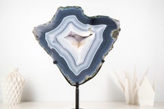 Natural Blue and White Lace Agate Geode Slice with White Galaxy Druzy