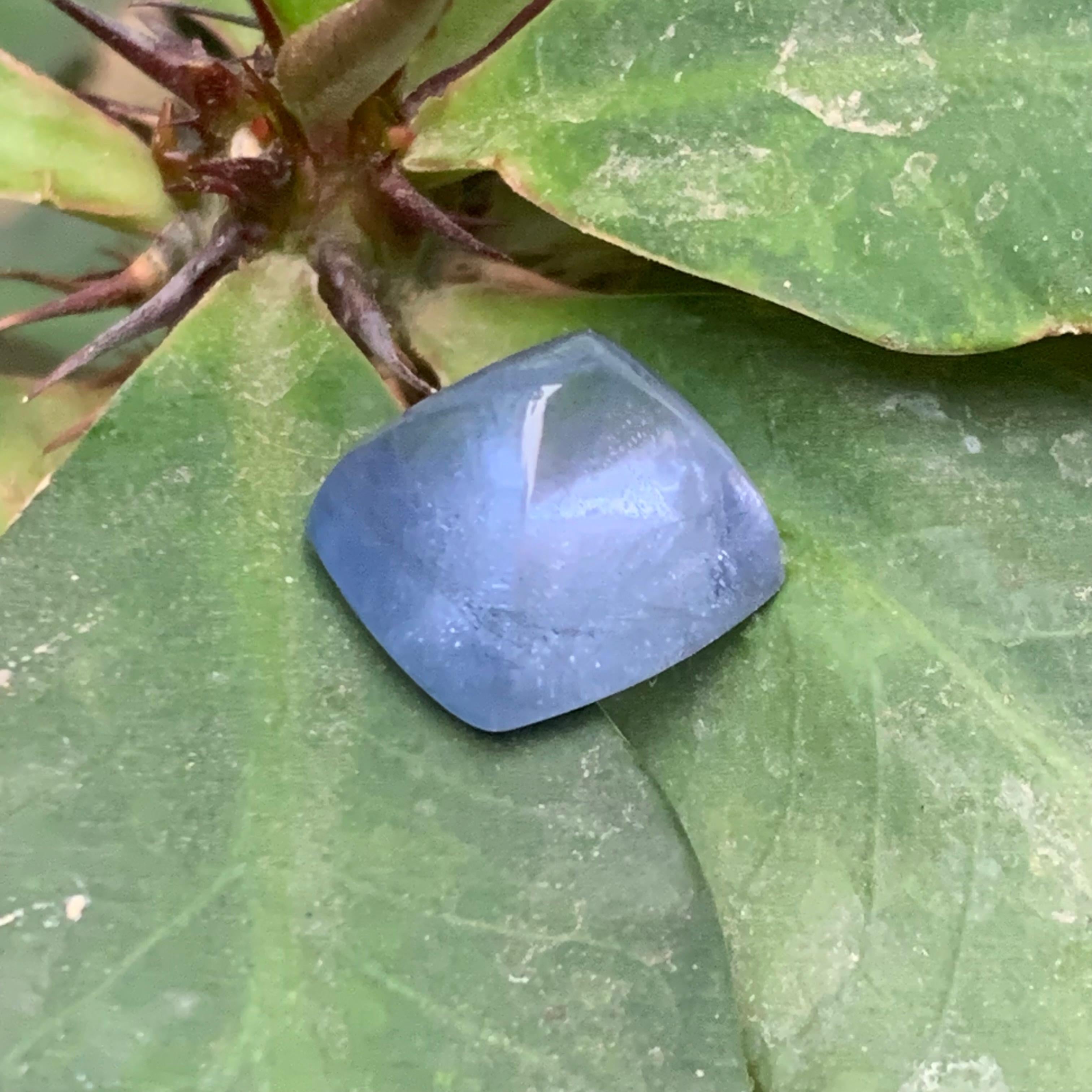 Natürlicher blauer Aquamarin 11,70 Ct Sugarloaf Cabochon Loser Edelstein für Schmuck im Angebot 4