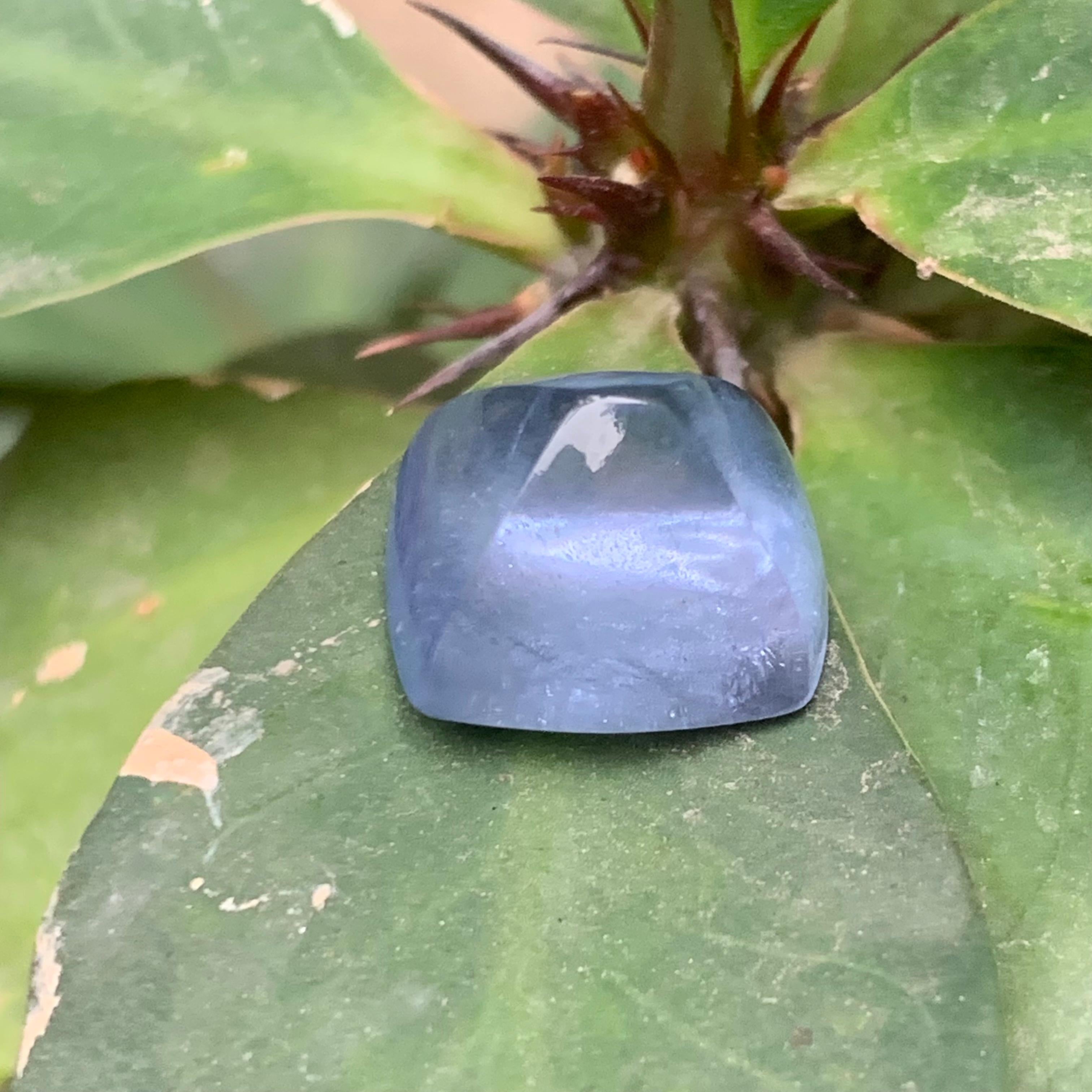 Natürlicher blauer Aquamarin 11,70 Ct Sugarloaf Cabochon Loser Edelstein für Schmuck (Zeitgenössisch) im Angebot