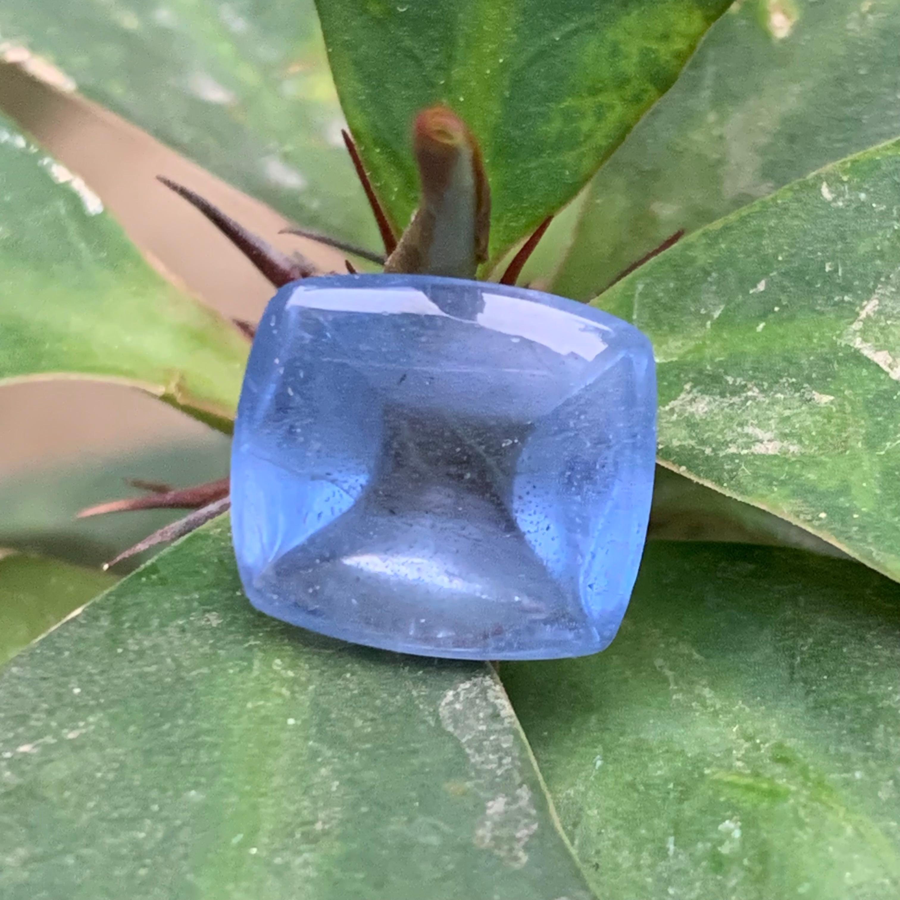 Natürlicher blauer Aquamarin 11,70 Ct Sugarloaf Cabochon Loser Edelstein für Schmuck im Zustand „Neu“ im Angebot in Peshawar, PK