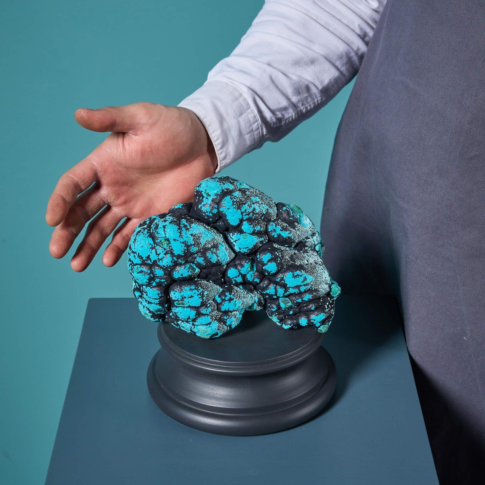 A superb example of a naturally-occurring botryoidal malacholla specimen, favoured for its vivid natural blue colour! This sizeable specimen is presented on one of our exclusive bases, perfect for interior display. 

This stunning specimen is