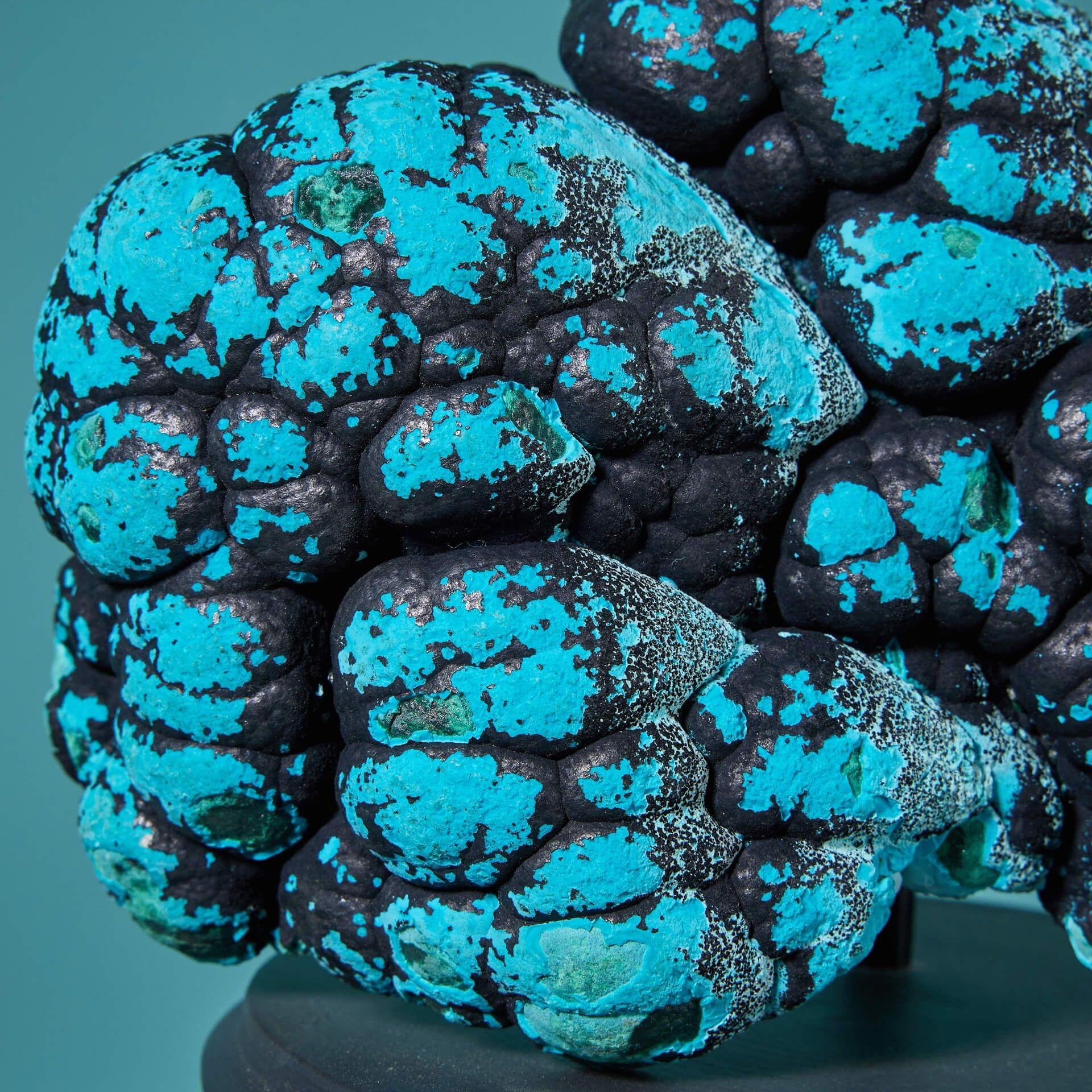 Congolese Natural Blue Botryoidal Malacholla Specimen For Sale