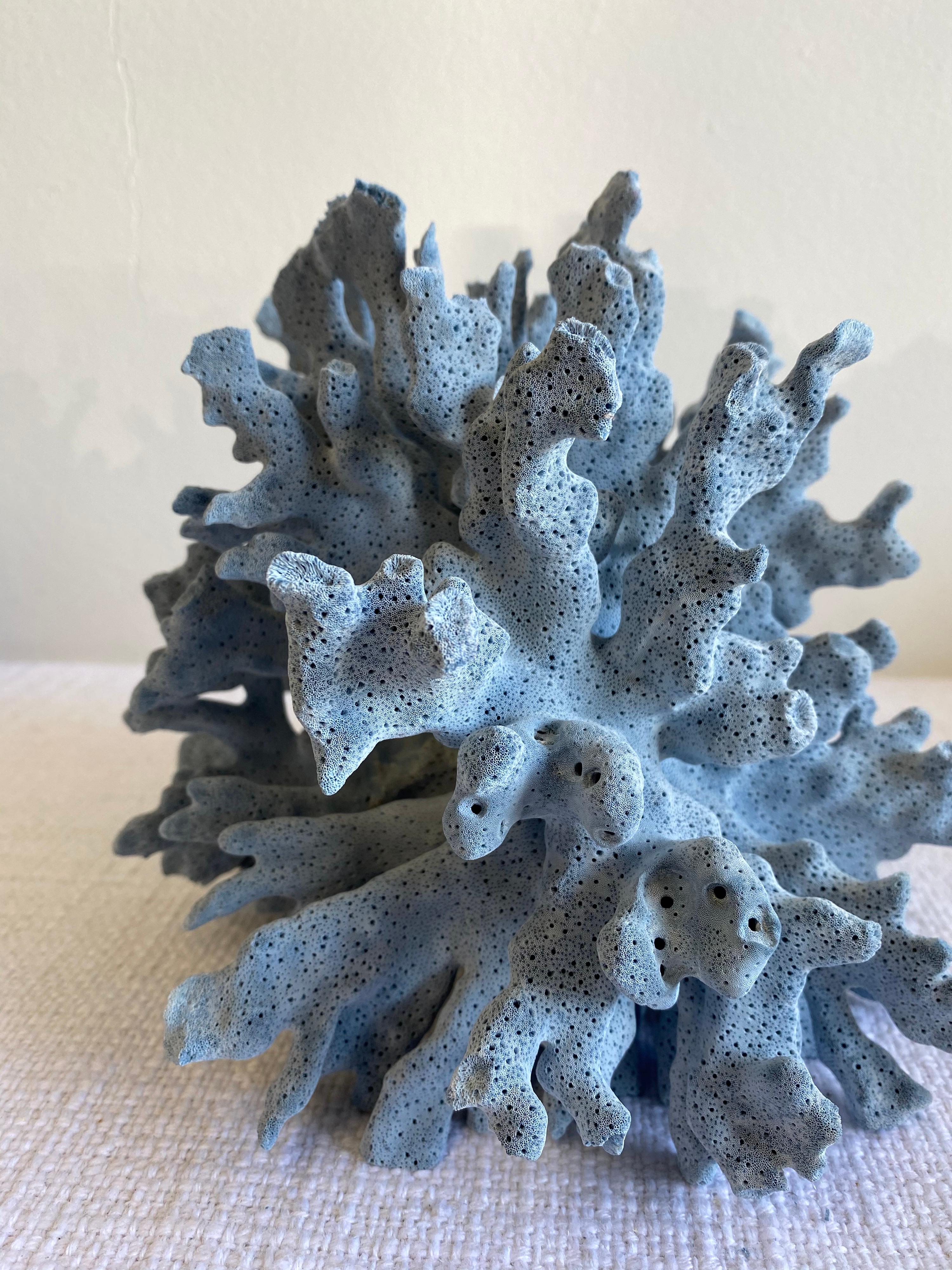 Beautiful natural colored blue coral.
This coral is real, not faux, and color is natural, not dyed.
Size: 10