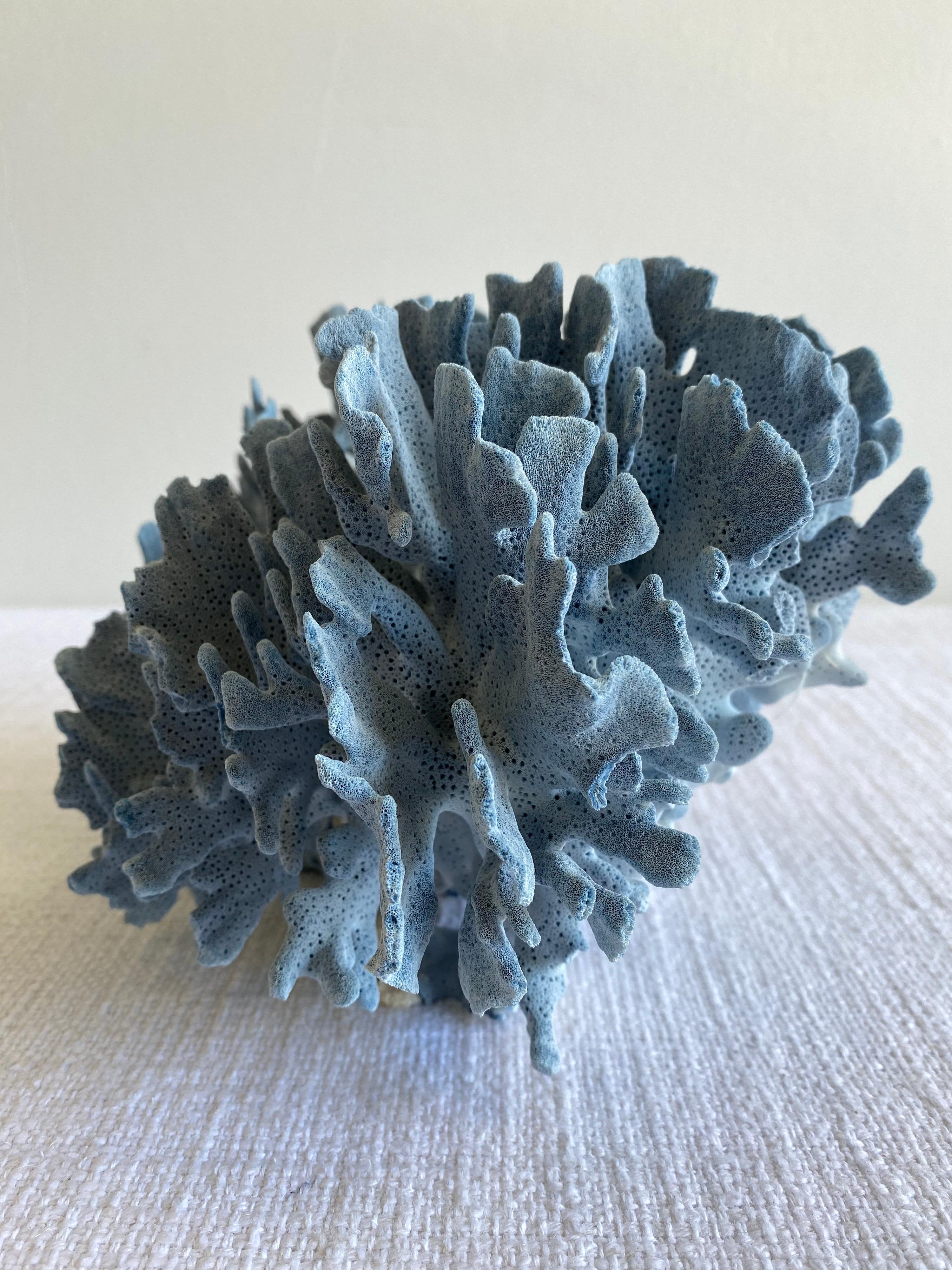 Beautiful natural colored blue coral. 
This coral is real, not faux, and color is natural, not dyed.
Size: 11.5