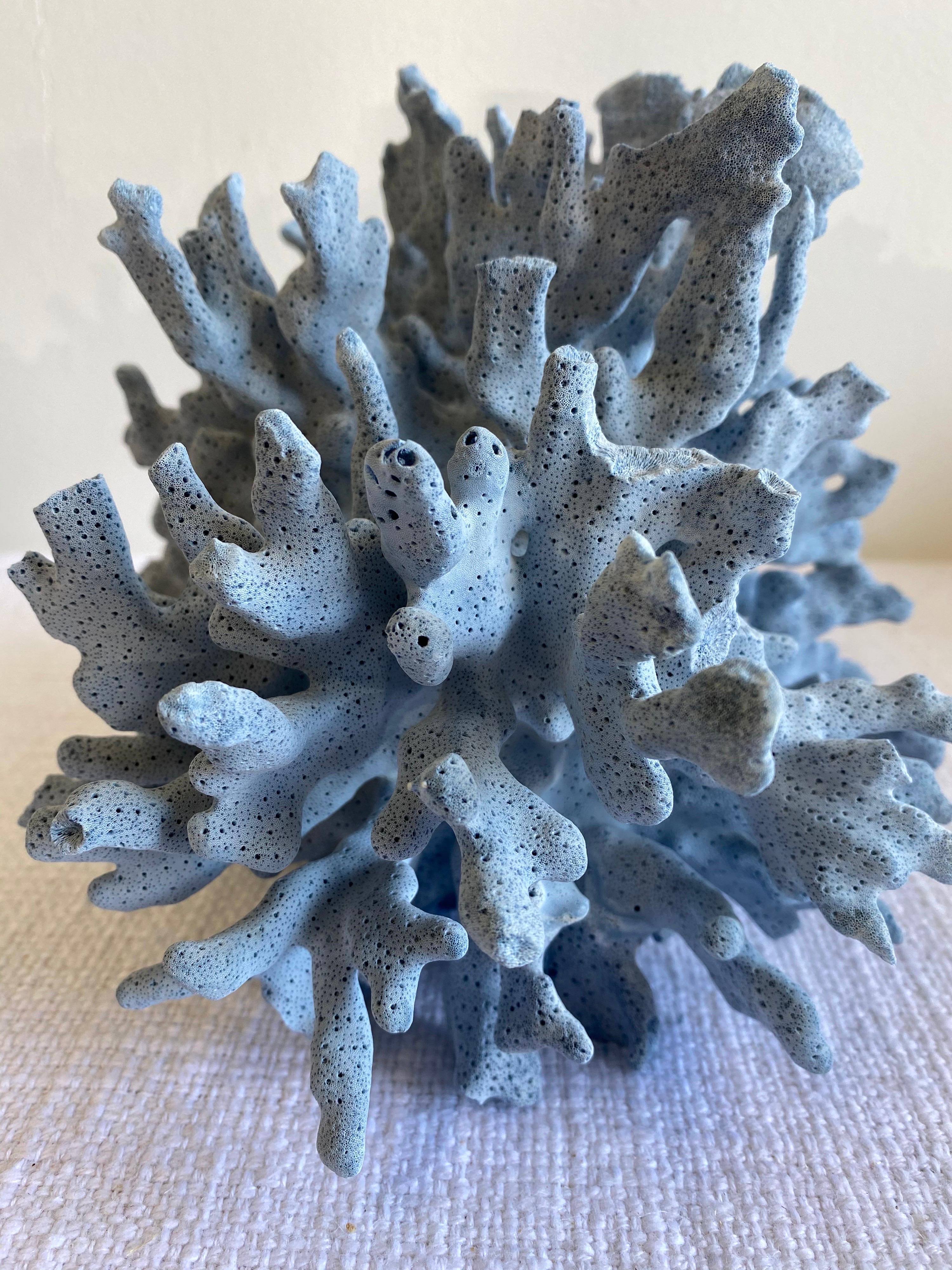 bleu coral