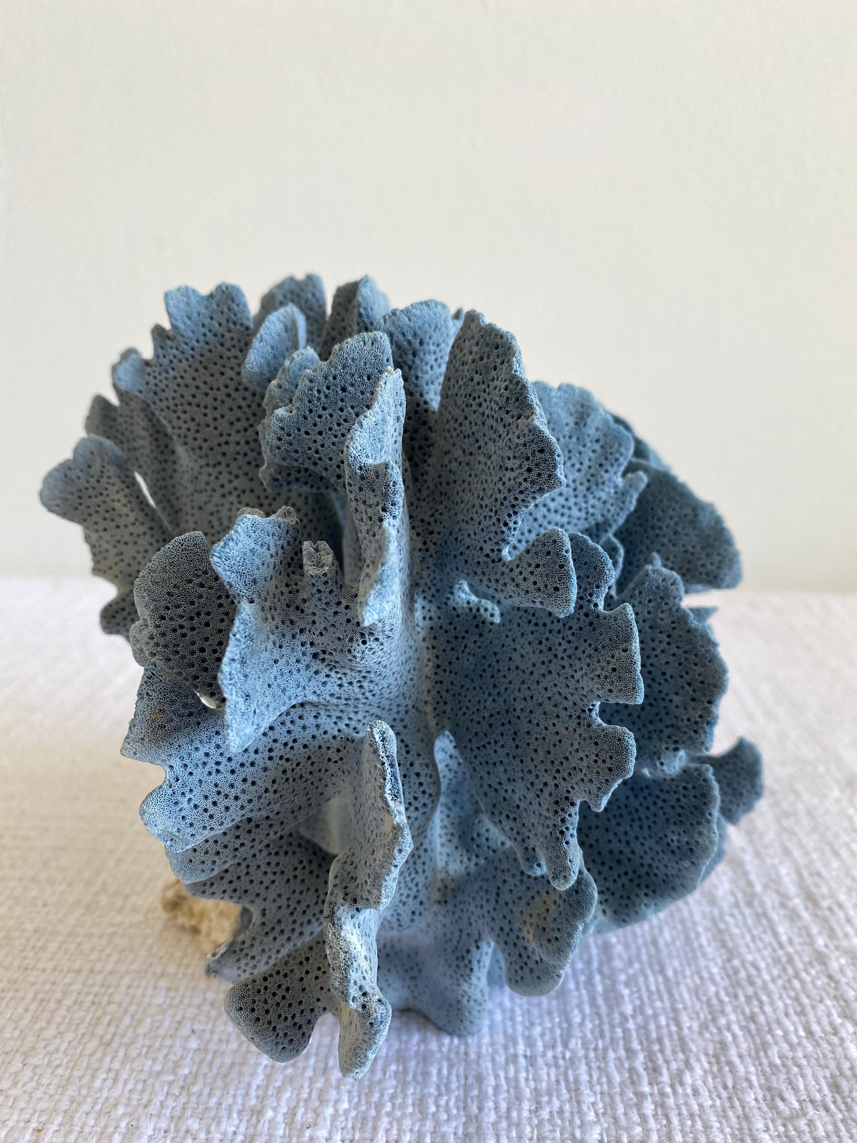 20th Century Natural Blue Coral