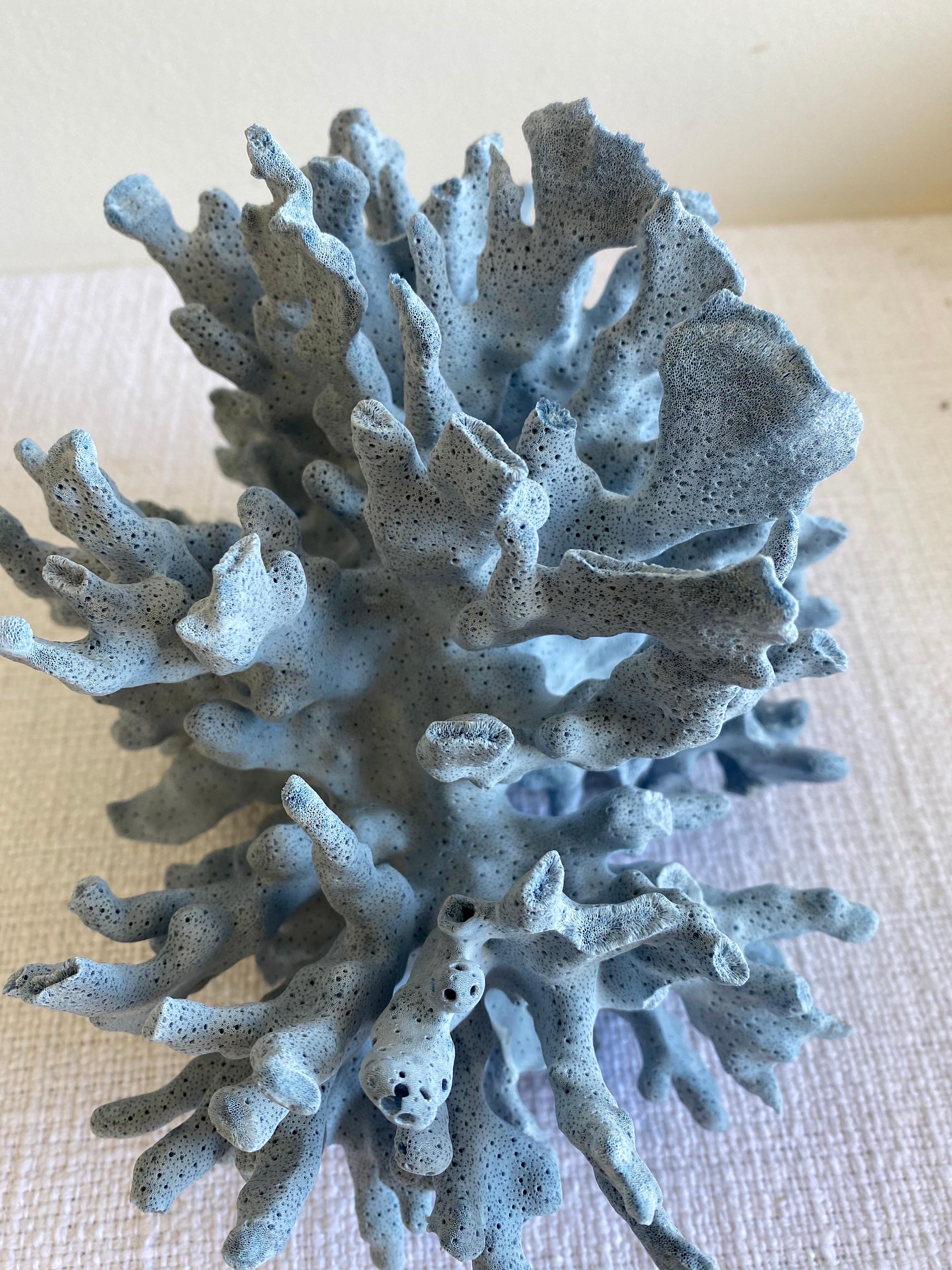 real blue coral