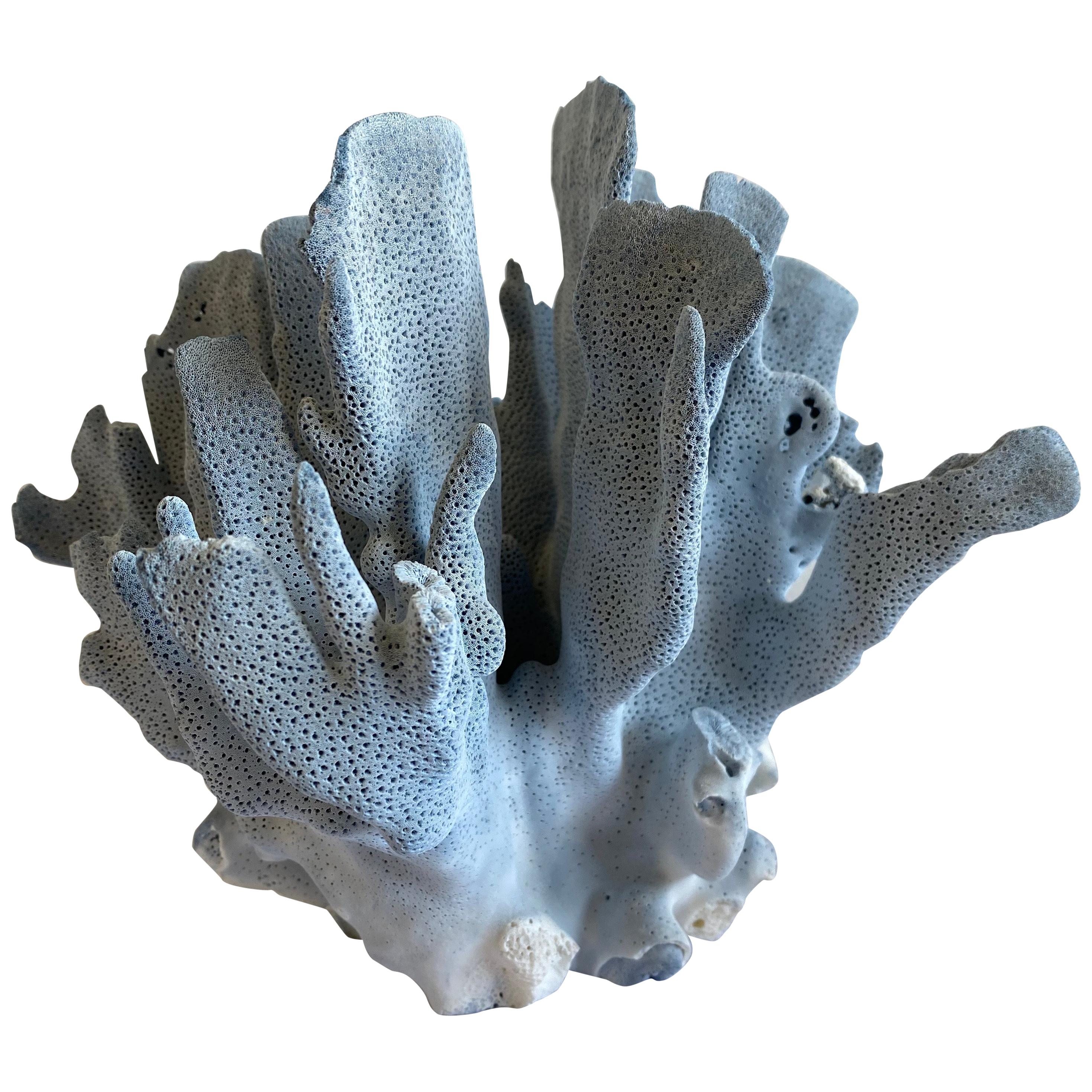 Large Natural Sea White Coral Specimen at 1stDibs