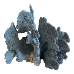 Natural Blue Coral