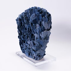 Natural Blue Coral Sculpture on Lucite