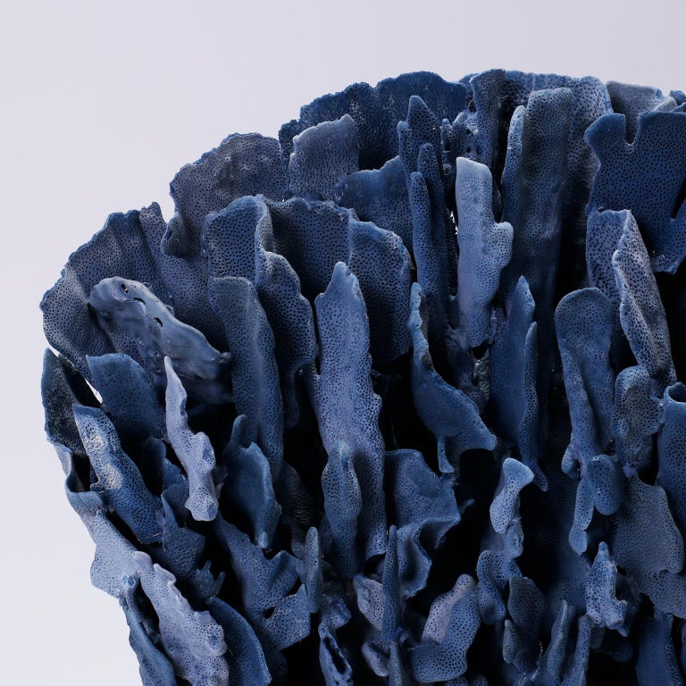 Natural Blue Coral Sculpture on Lucite at 1stDibs