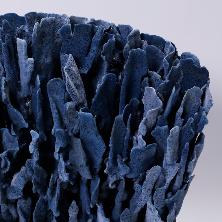 Natural Blue Coral Sculpture on Lucite at 1stDibs