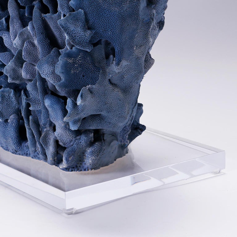 Natural Blue Coral Sculpture on Lucite at 1stDibs